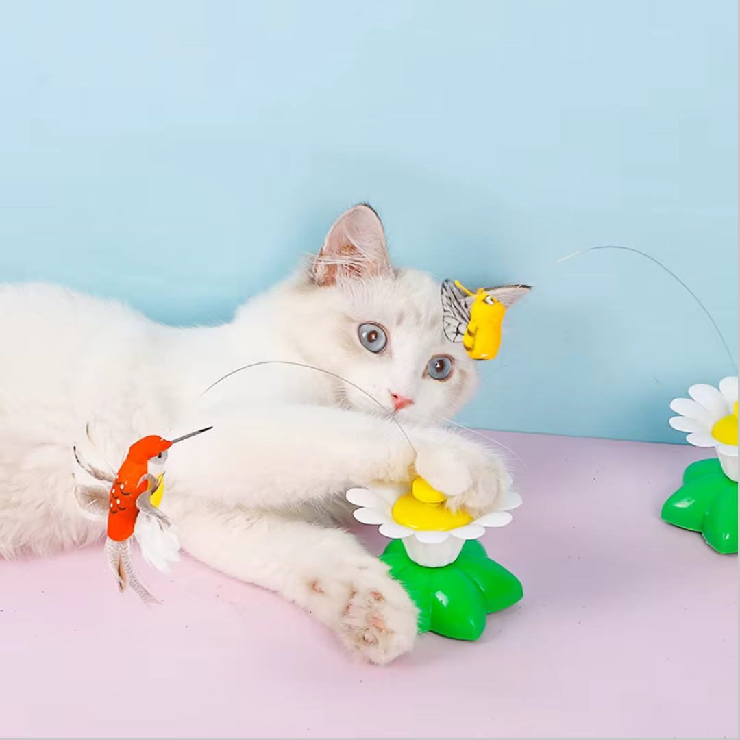 Spinning Butterfly Cat Toy